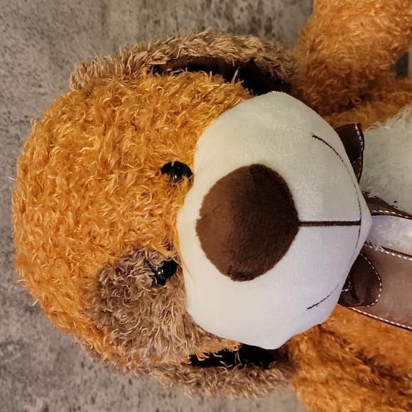 Circus Circus Puppy Dog stuffed animal Plush - Picture 2 of 5